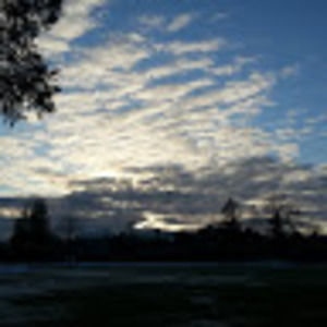 Meet your Posher, Violet